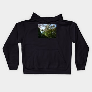 Sunlight glare and leaves in autumn Kids Hoodie